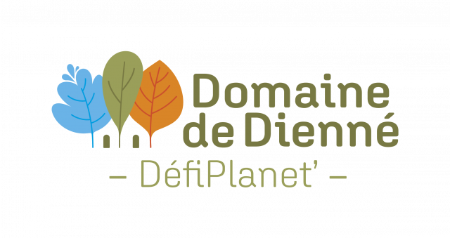 logo domaine de dienne