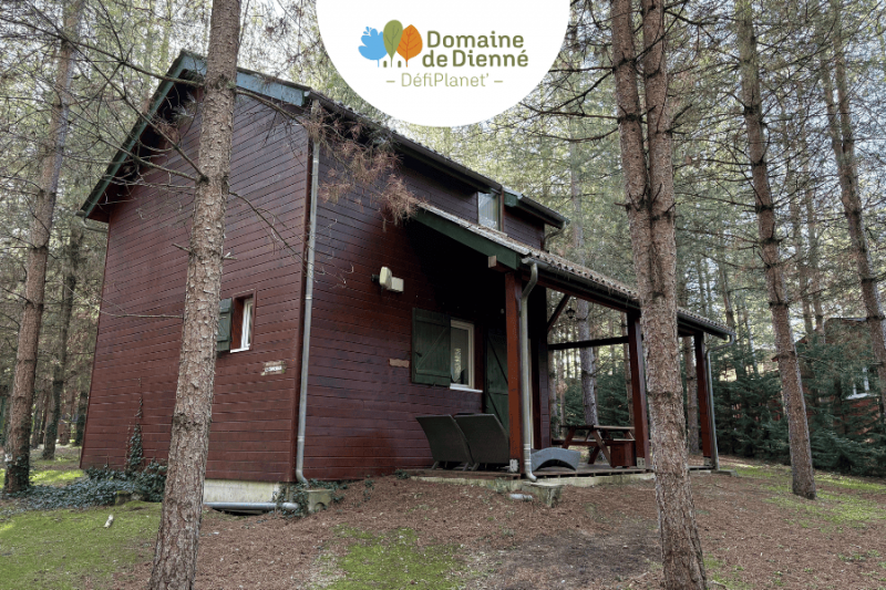 800x600-chalet-4-pers-domaine-de-dienne-41844-41949 800x600-chalet-4-pers-domaine-de-dienne-41844-41949