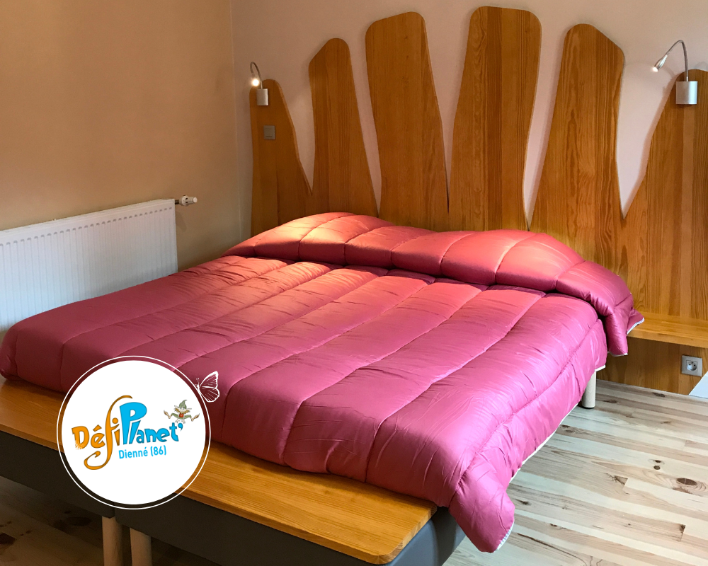 chambre-dans-h-tel-insolite-5-pers-d-fiplanet-41391