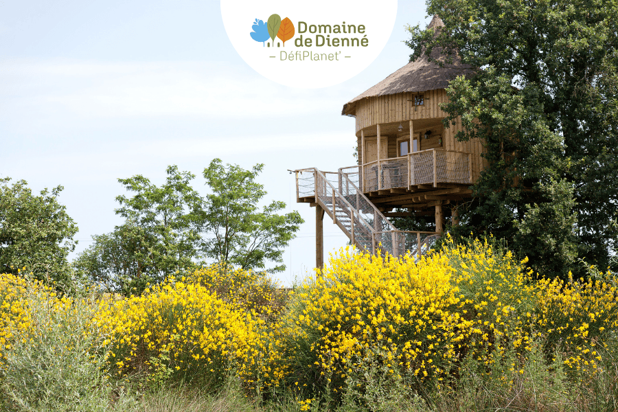 Maison dans les branches 4 pers. - Domaine de Dienné Maison dans les branches 4 pers. - Domaine de Dienné