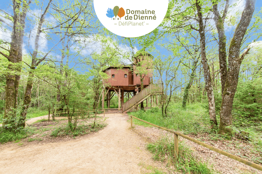 Manoir dans les arbres - Domaine de Dienné Manoir dans les arbres - Domaine de Dienné