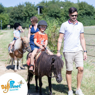 balade-poney-41364