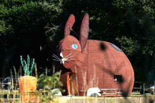 ext-rieur-lapin-2-38736
