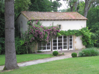 img-2174-39265