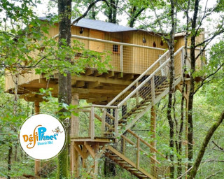 maison-dans-les-branches-6-pers-d-fiplanet-41218