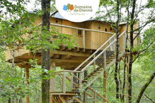 Maison dans les branches 6 pers. - Domaine de Dienné