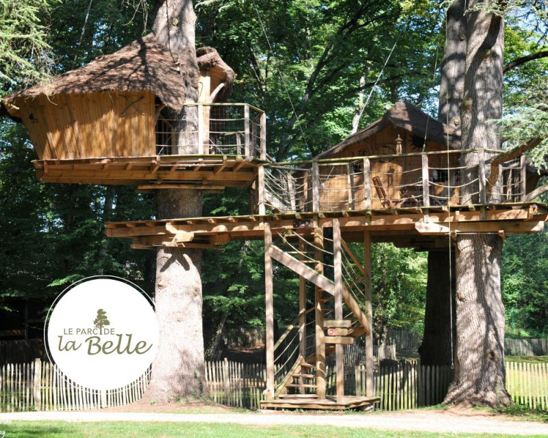 cabane-des-ouistitis-parc-de-la-belle-41320