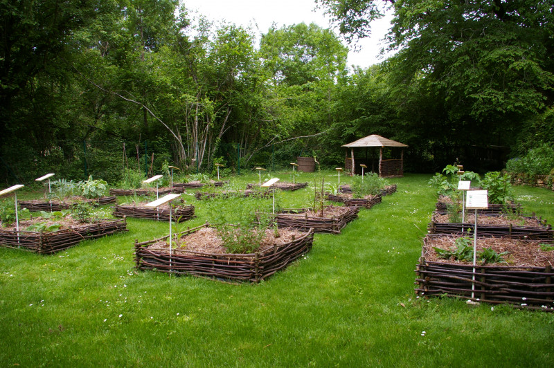 jardin-m-di-val-2019-parc-de-la-belle-39268