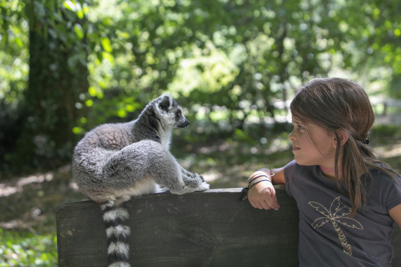 la-vall-e-des-singes-img-8124-39240