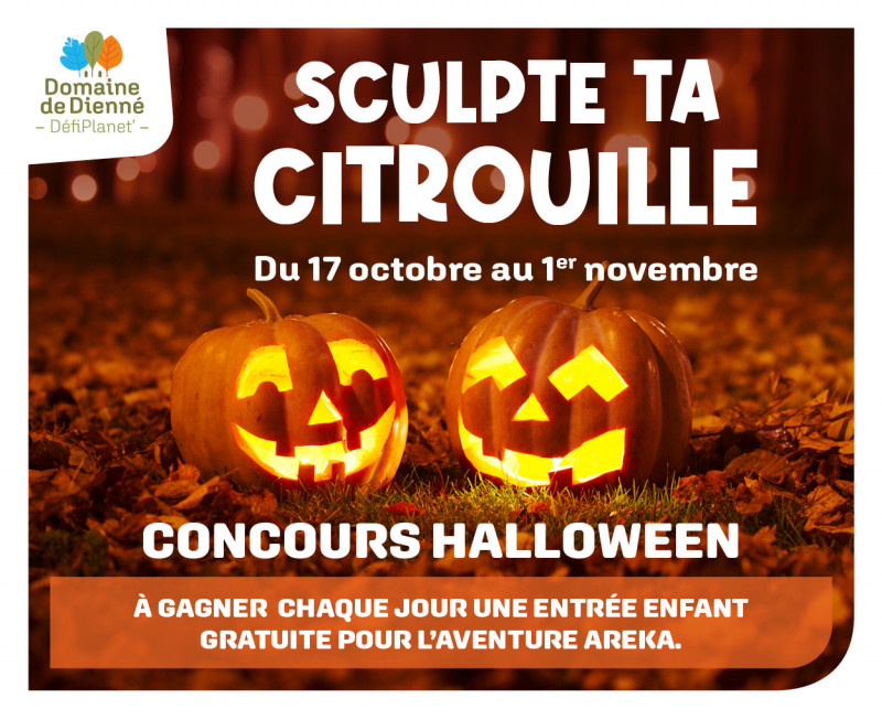 sculte-ta-citrouille-42127