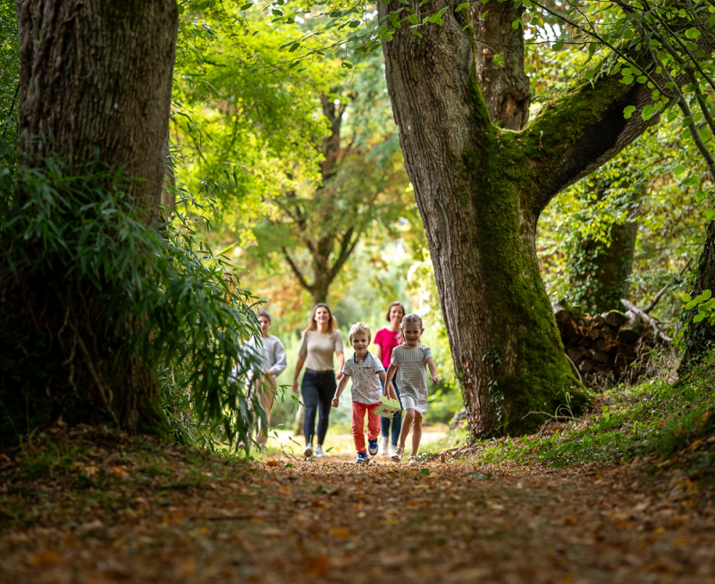 sur-la-piste-3-41985